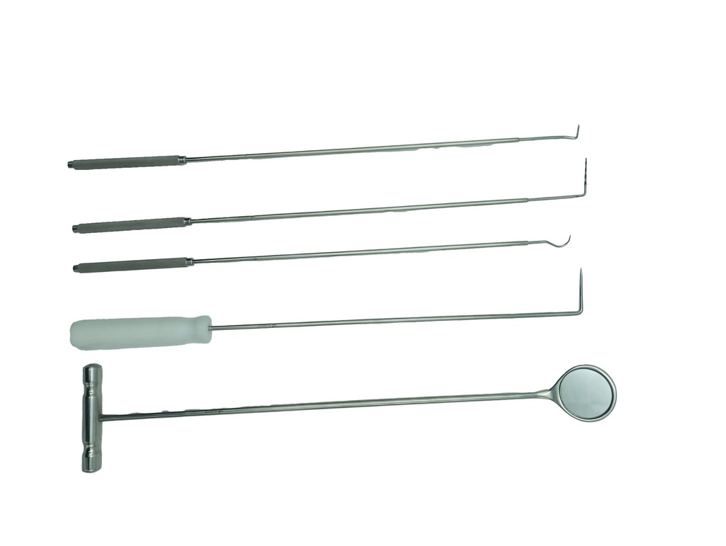 [STO_SCSM] Dental-Untersuchungs-Set, 5-teilig